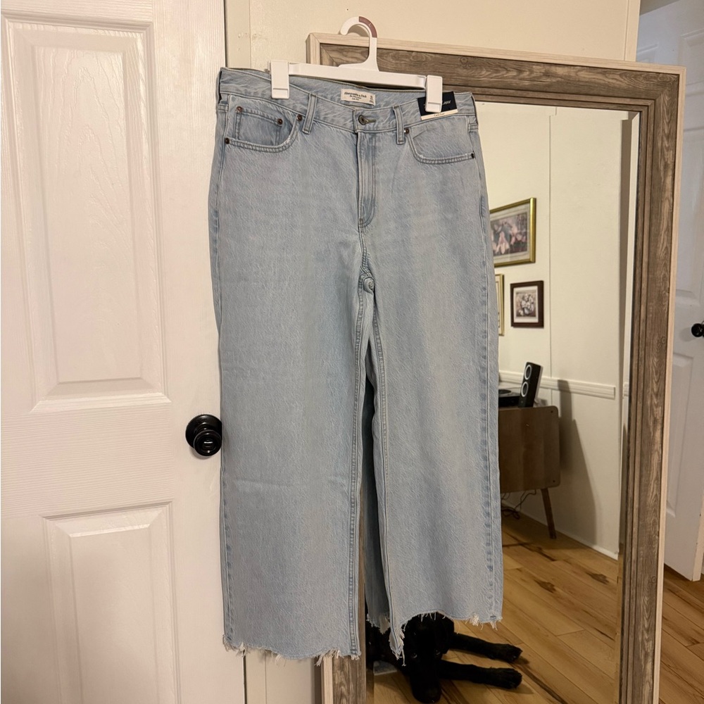 Abercrombie and Fitch The Ultra Loose Low Rise
